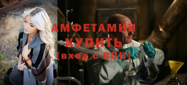 амф Пестово