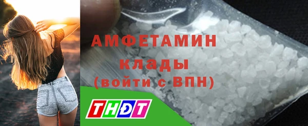 амф Пестово