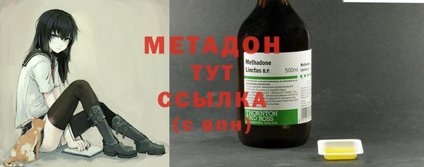 прущие грибы Ахтубинск