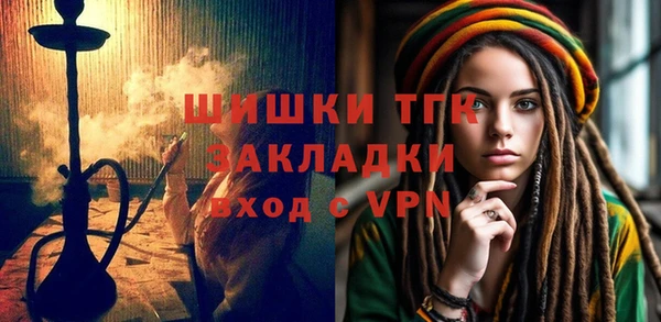 амф Пестово
