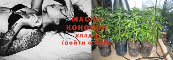 молекула духа Переславль-Залесский