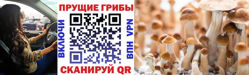 Галлюциногенные грибы Psilocybe  МЕГА ONION  shop клад  Инза 